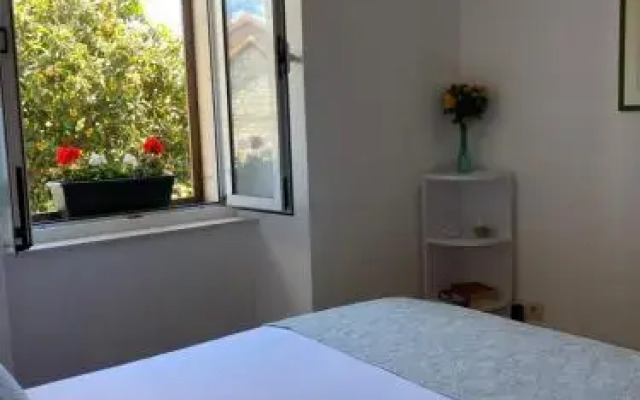 Apartment Mediterano