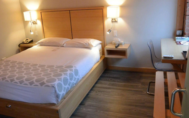 The Adventure Hotel