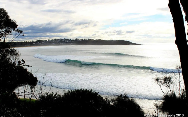 Mollymook Cove Apartments