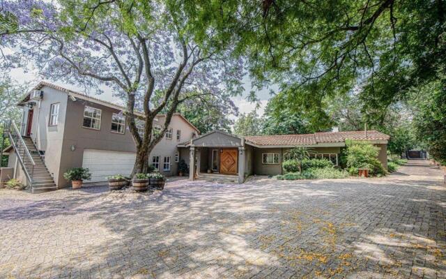 Wild Olive Executive Suite