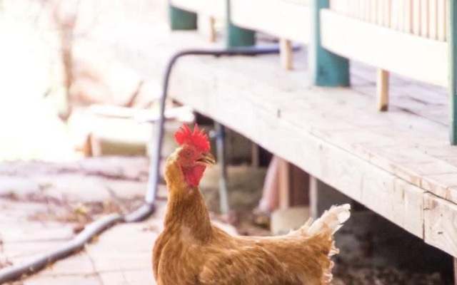 Longreach Outback Adventures