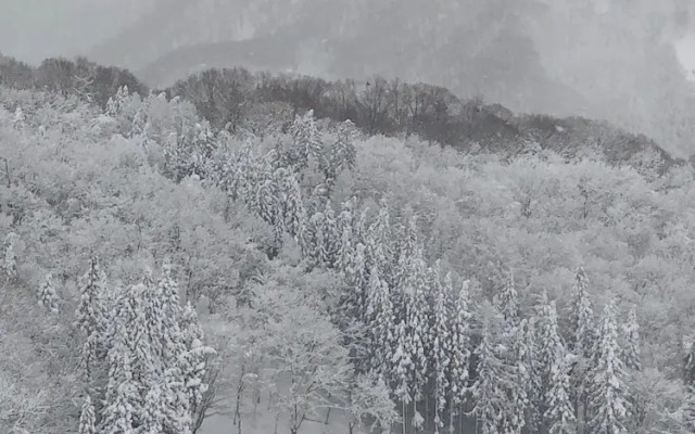 The Guest House Japan Hakuba