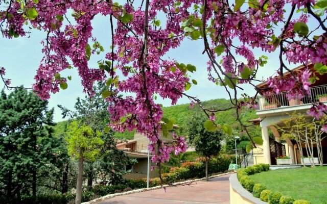 Tolfa Hotel