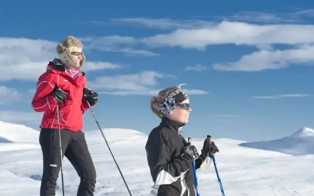 Spidsbergseter Hytter og Fjellsuiter