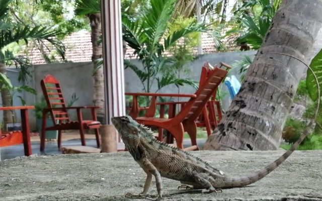 Viveka Inn Guest