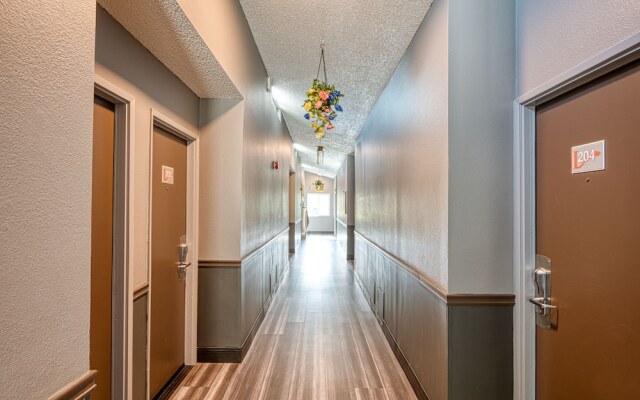 La Mirage Inn - Hollywood