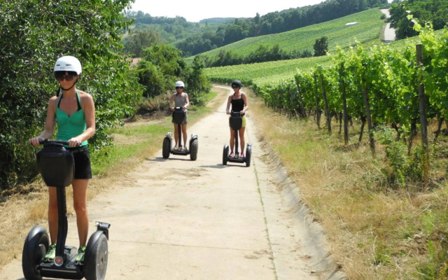 Wörners Schloss Weingut & Wellness Hotel