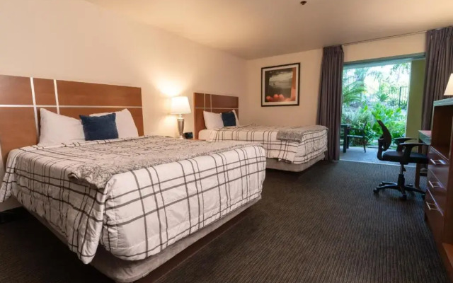 Lemon Tree Inn