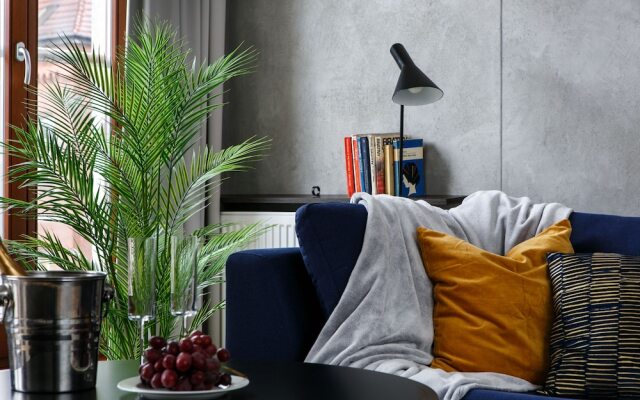 Otium Old Town Harmonica