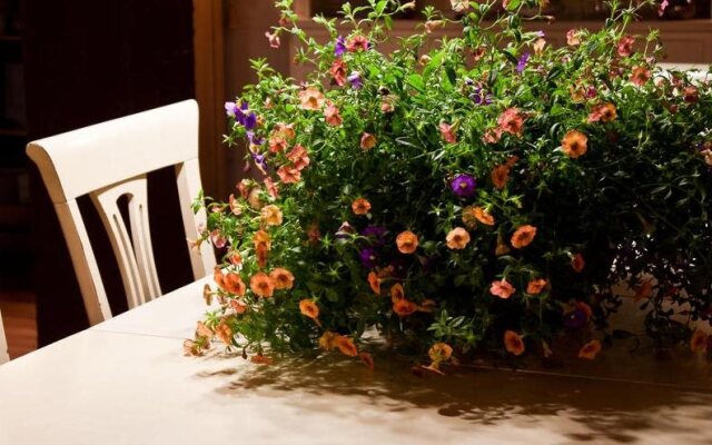 Apartamentos Ciudad de Petra