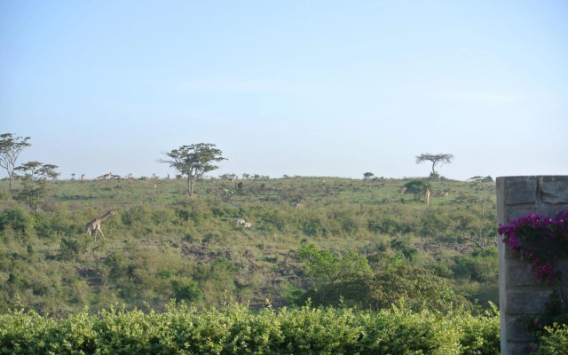 Nyati Hill Cottages