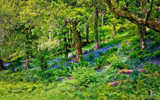 Westward Ho!me 5 Bedrooms