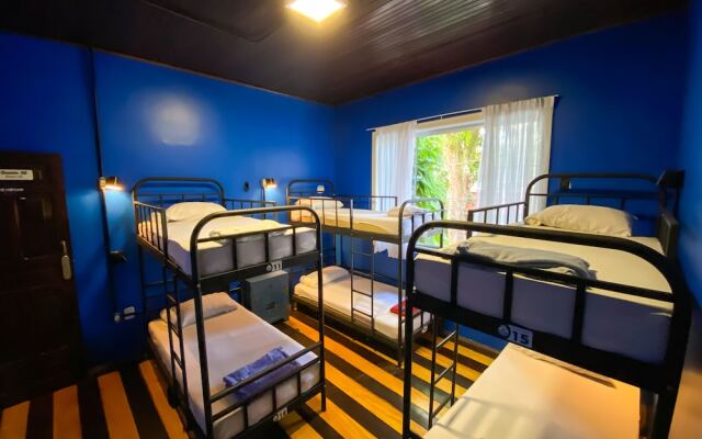 Ôvibe Party Hostel & Arts