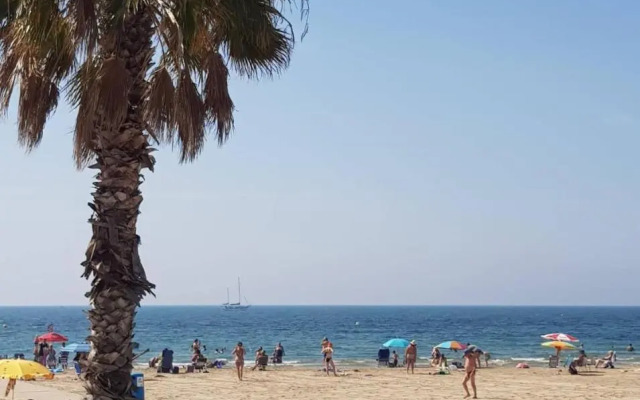 "Vero Vijola" in Torrevieja