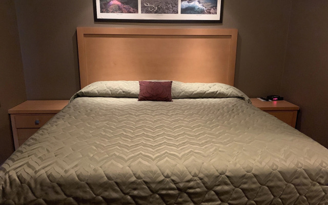 Woodlands Inn & Suites