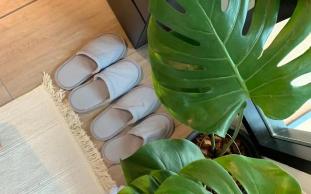 Likit Kirin Khao Kho