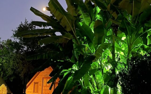 Pusula Bungalow