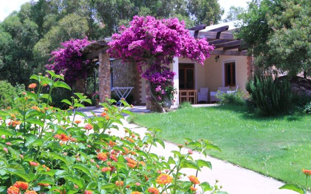 Quiet and Relaxing, Surrounded by Greenery a few Kilometers From the sea