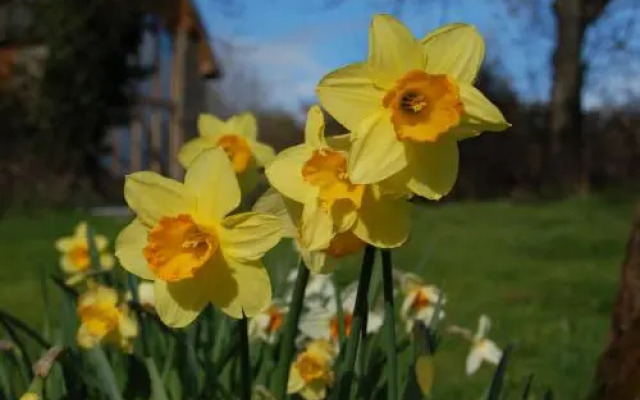 The Farm Snead Bed & Breakfast