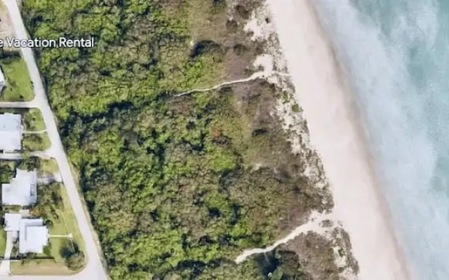 Secluded Beachfront Vibes Surf Pet Friendly