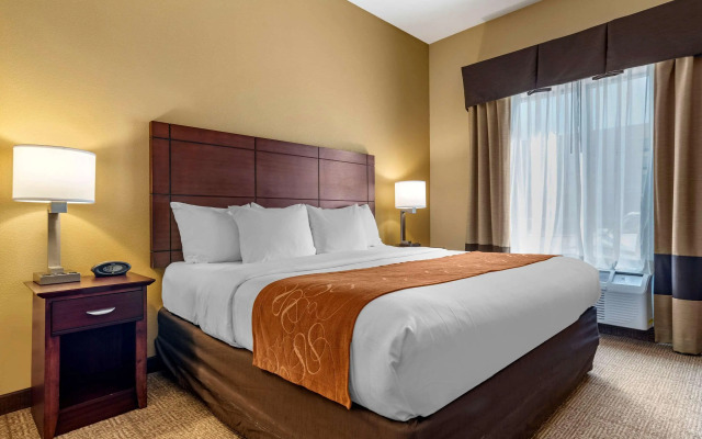 Comfort Suites Airport South