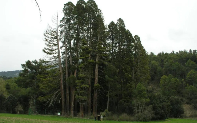 El Molino De Fuencaliente