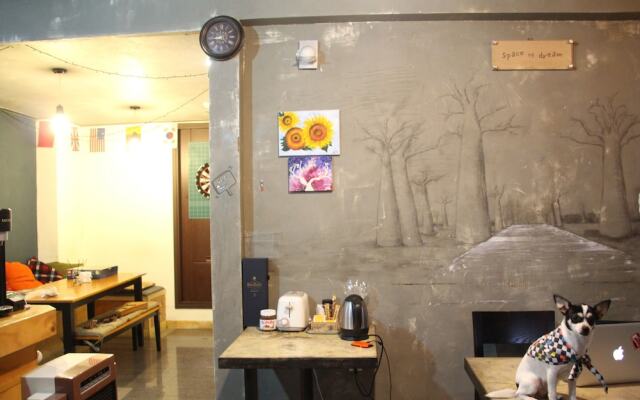 D Plan Backpackers