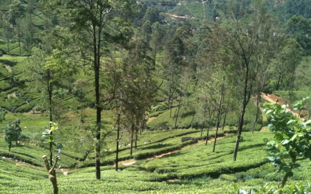 Subash Hotel
