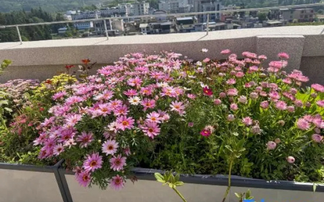 Lehu · Three-Bedroom Suite Apartment (Panzhou Wumeng Grassland) — 2-star hotel in Liupanshui