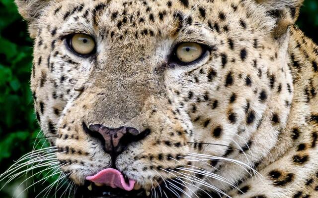 MILIMA Big 5 Safari Lodge