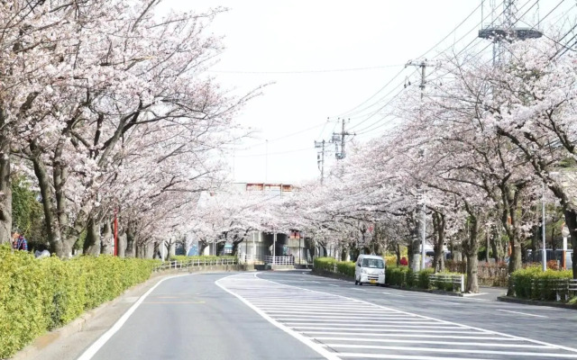 La Mer Urayasu - Vacation STAY 11148