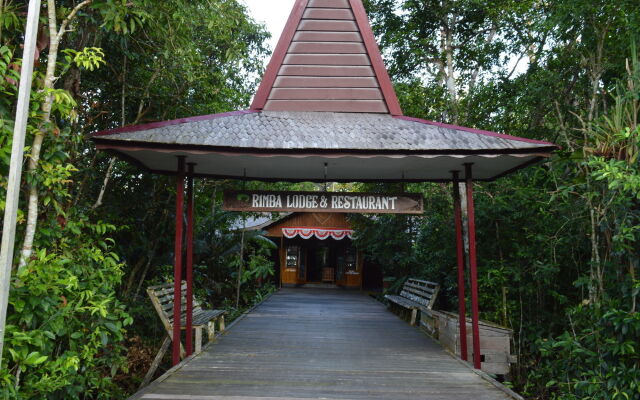 Rimba Orangutan Eco Lodge
