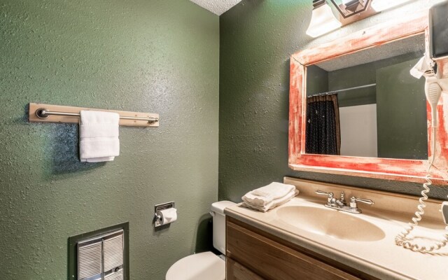 Whispering Blue Spruce