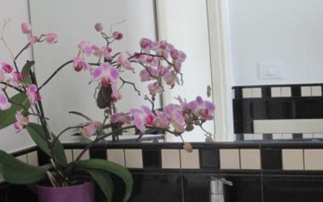 Terrazza Fiorita