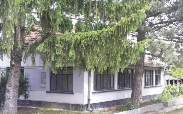 Pusztaeldorado