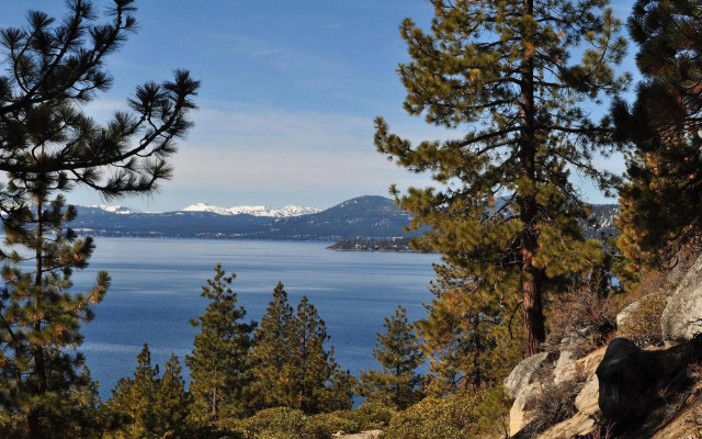Tahoe Chaparral