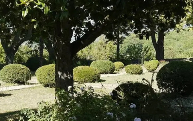 Elzear