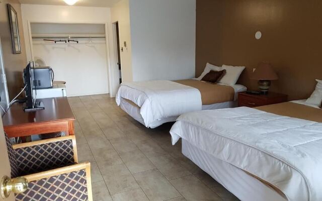 Metro Inn