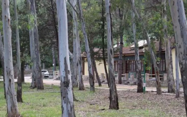 Lodges in Akyaka Kamp