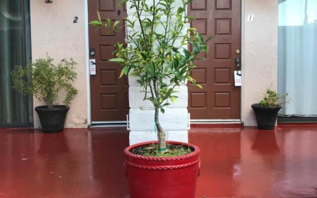 The Village Palm Desert