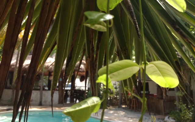 Green Tulum Hotel