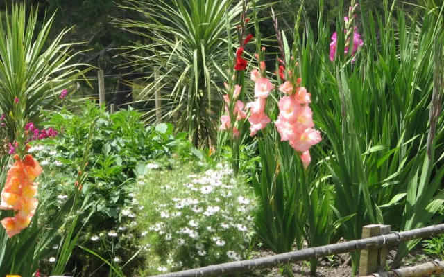 Petite Provence B&B