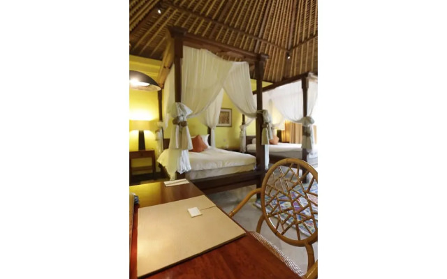 Villa Hanani