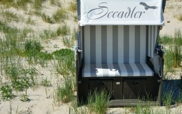 "sea Eagle" in the House on the Dune