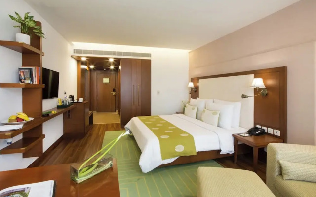 DLF Club 5
