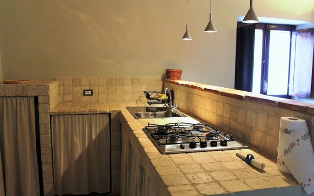 Orso - Parco Nazionale d'Abruzzo