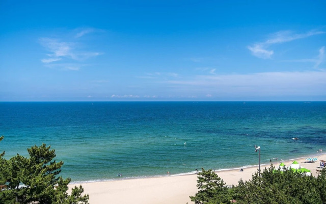 Gangneung Brown Dot Gangneung Gyeongpo