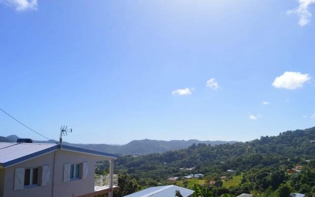 House With 2 Bedrooms In Riviere Pilote With Wonderful Mountain View Enclosed Garden And Wifi