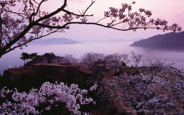 EN Takeda Castle Town Hotel