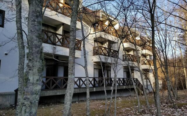 Yamanakako-Asahigaoka-Onsen Hotel Seikei